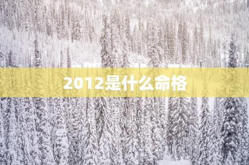 2012是什么命格