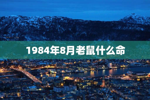 1984年8月老鼠什么命