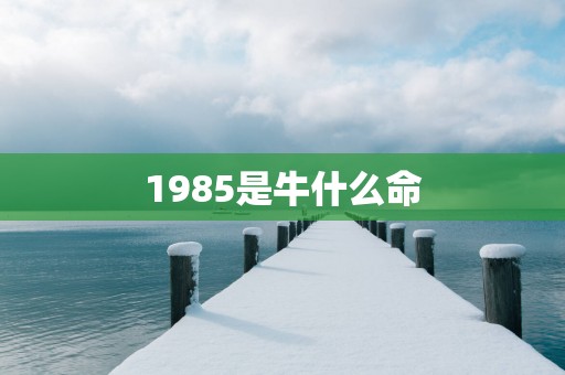 1985是牛什么命