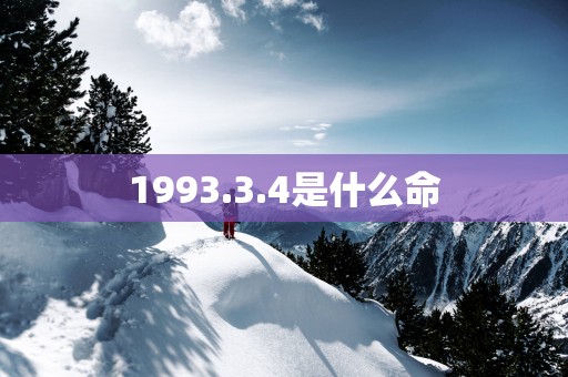 1993.3.4是什么命
