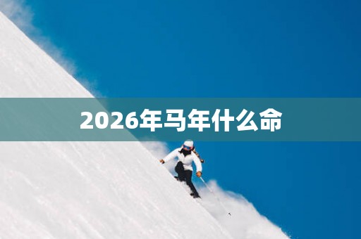 2026年马年什么命