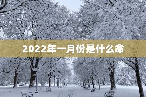 2025年一月份是什么命