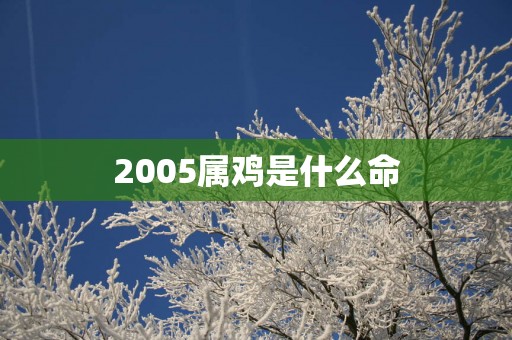 2005属鸡是什么命