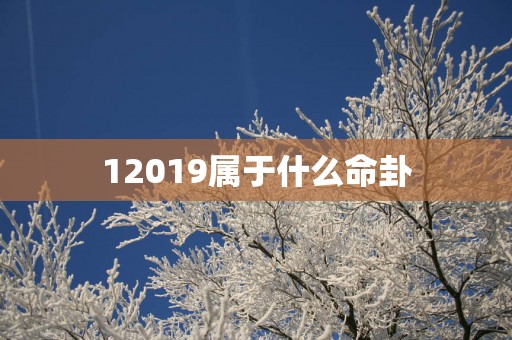 12019属于什么命卦