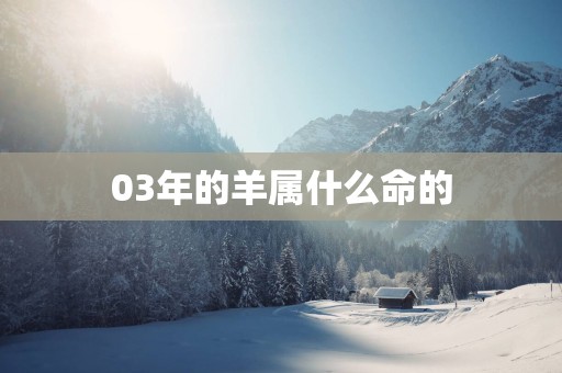 03年的羊属什么命的
