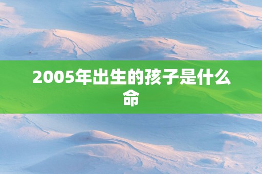 2005年出生的孩子是什么命