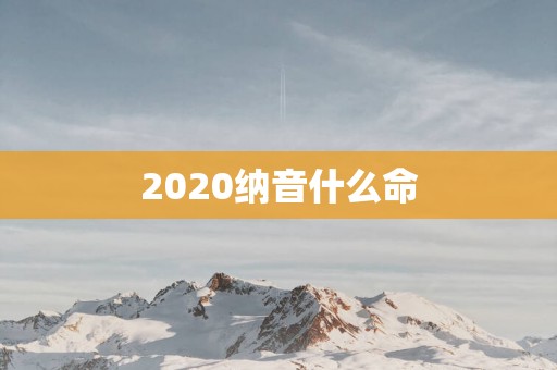 2025纳音什么命