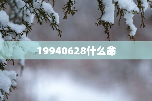 19940628什么命