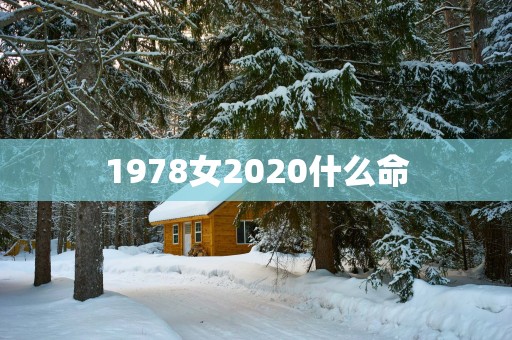 1978女2025什么命