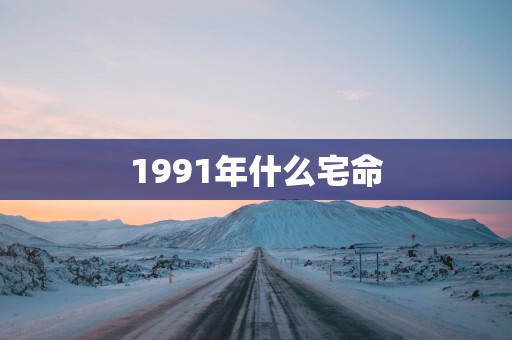 1991年什么宅命