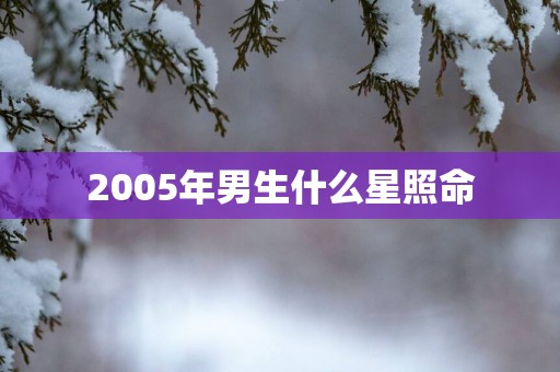 2005年男生什么星照命