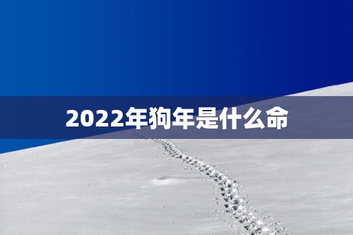 2025年狗年是什么命