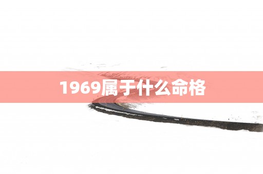 1969属于什么命格