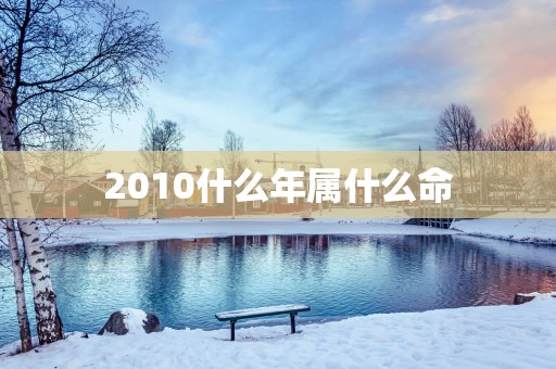 2010什么年属什么命