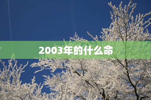 2003年的什么命