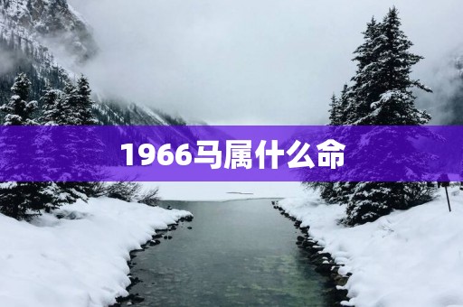 1966马属什么命