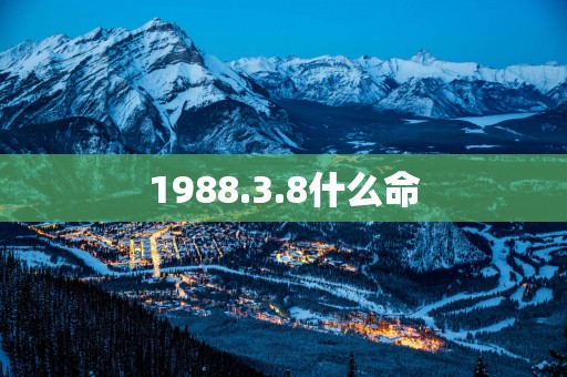 1988.3.8什么命
