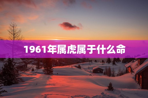 1961年属虎属于什么命