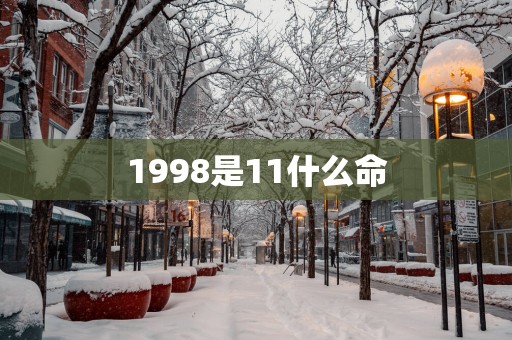 1998是11什么命