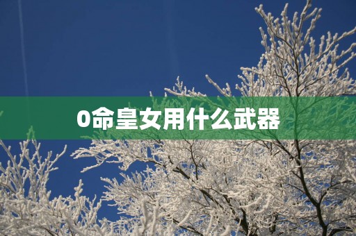 0命皇女用什么武器
