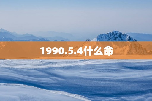 1990.5.4什么命