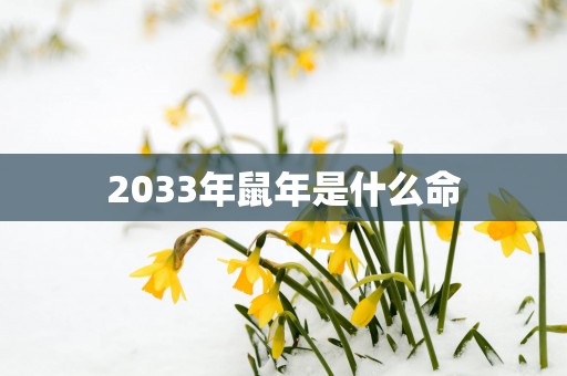 2033年蛇年是什么命