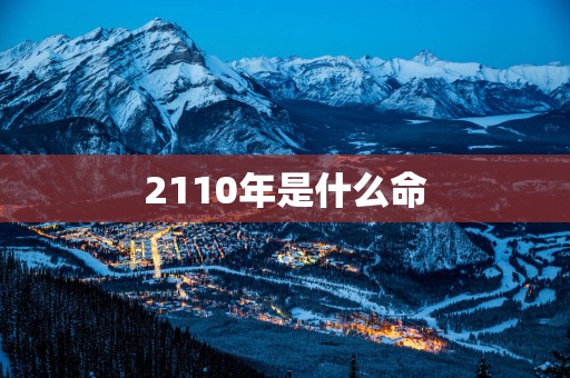 2110年是什么命