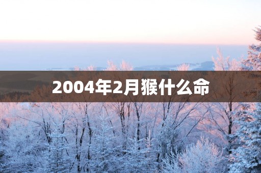 2004年2月猴什么命