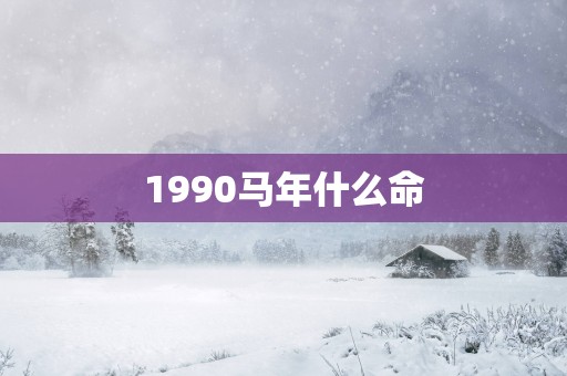 1990马年什么命