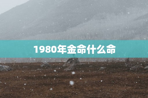 1980年金命什么命
