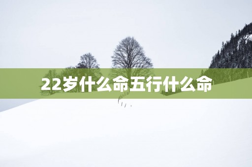 22岁什么命五行什么命
