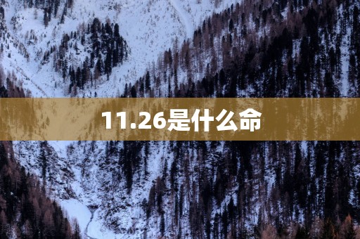 11.26是什么命