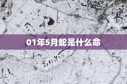 01年5月蛇是什么命