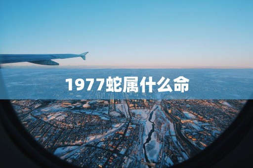 1977蛇属什么命