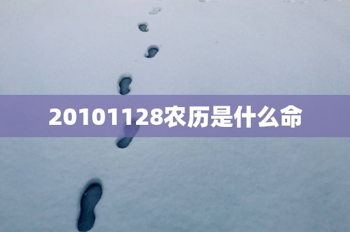 20101128农历是什么命