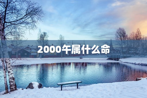 2000午属什么命