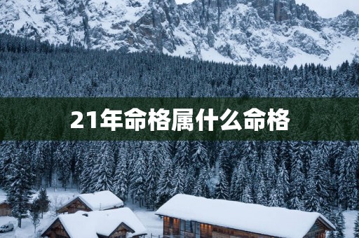 21年命格属什么命格