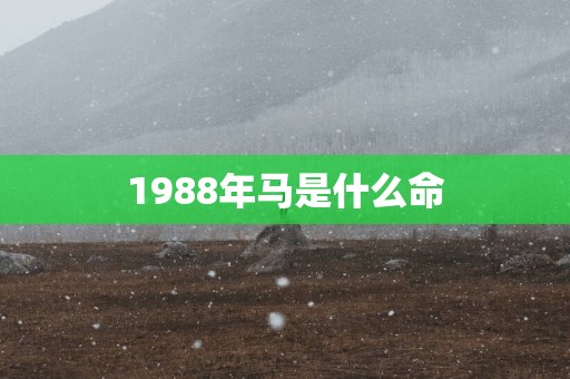 1988年马是什么命