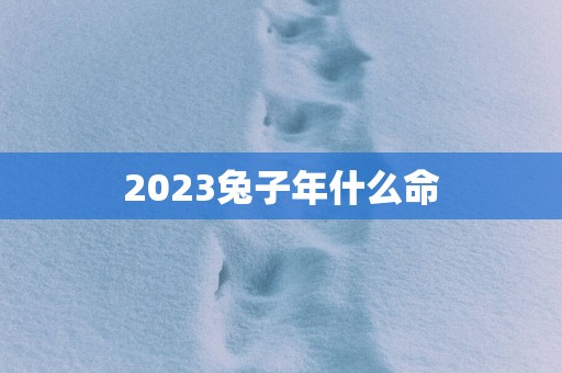 2025兔子年什么命