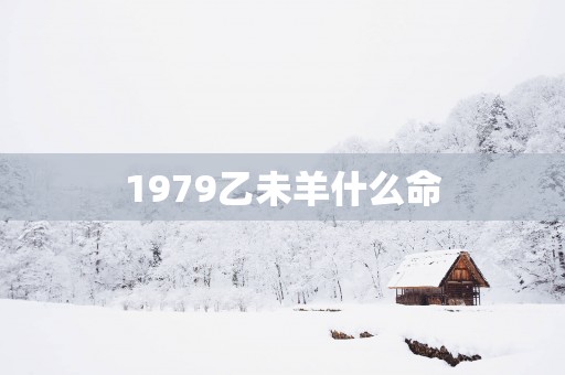 1979乙未羊什么命
