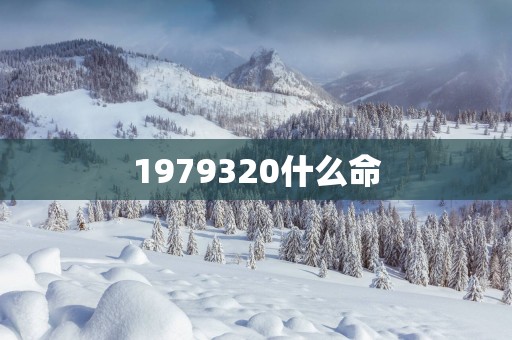 1979320什么命