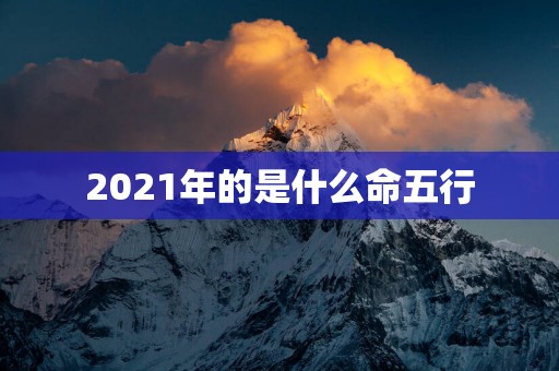 2025年的是什么命五行
