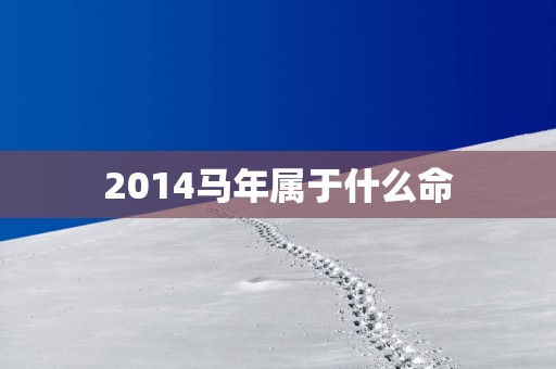 2014马年属于什么命