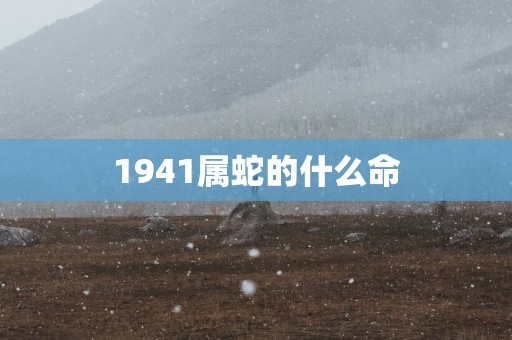 1941属蛇的什么命