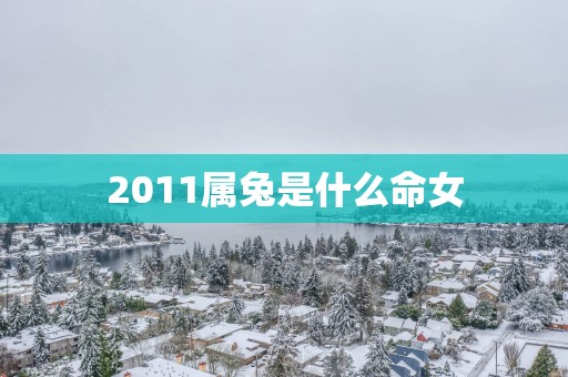 2011属兔是什么命女