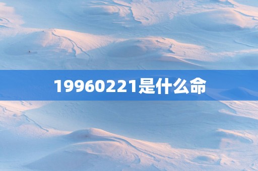 19960221是什么命