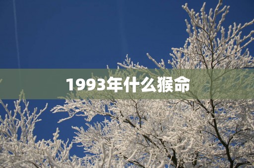 1993年什么猴命