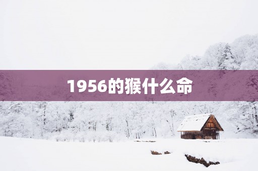1956的猴什么命