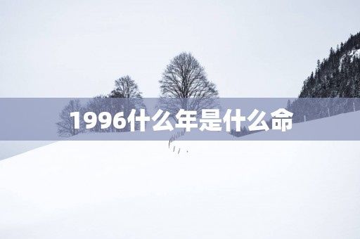 1996什么年是什么命