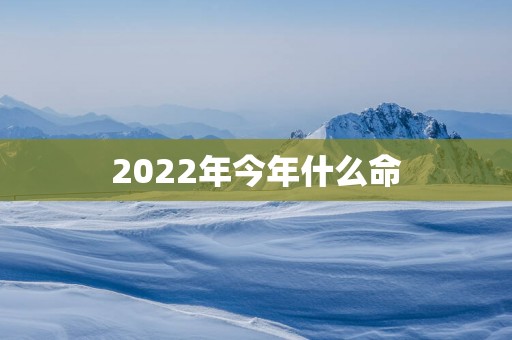 2025年今年什么命